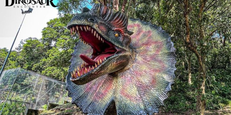 teruntum mini hybrid zoo